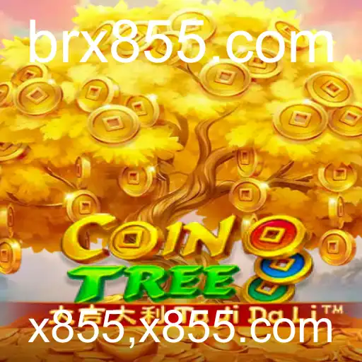 Explorando o Fascinante Mundo de CoinTree