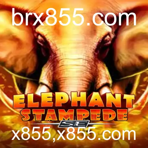 Descubra o Imperdível 'ElephantStampedeSE' e as Suas Fascinantes Regras de Jogo