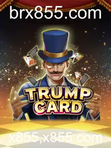 Descubra o Fascinante Universo de TrumpCard