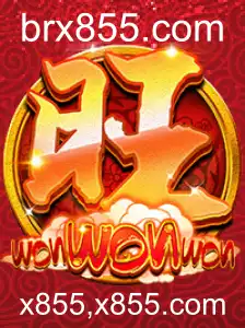 Tudo Sobre o Jogo WonWonWon: Descrição, Introdução e Regras